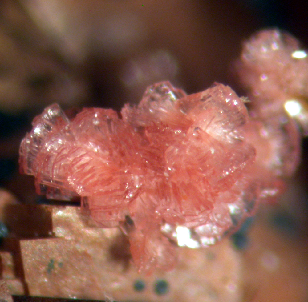 Talmessite Erythrite & Goethite