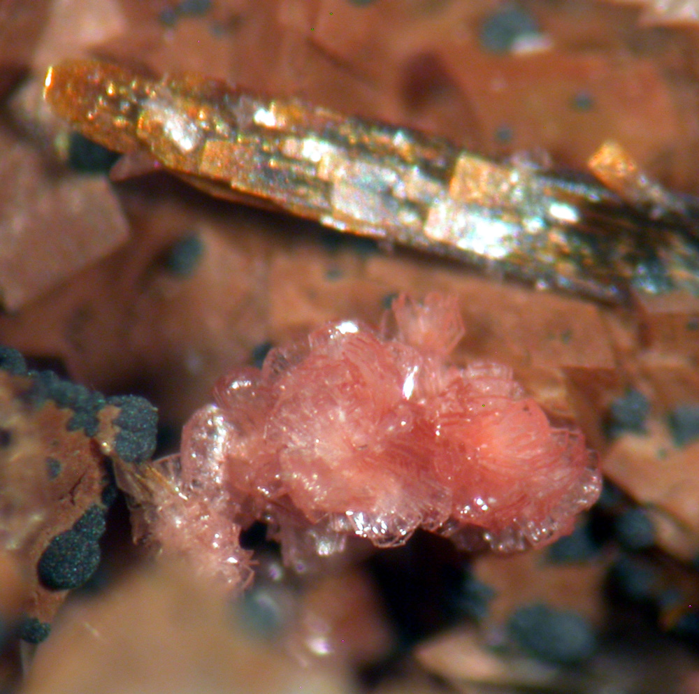 Talmessite Erythrite & Goethite