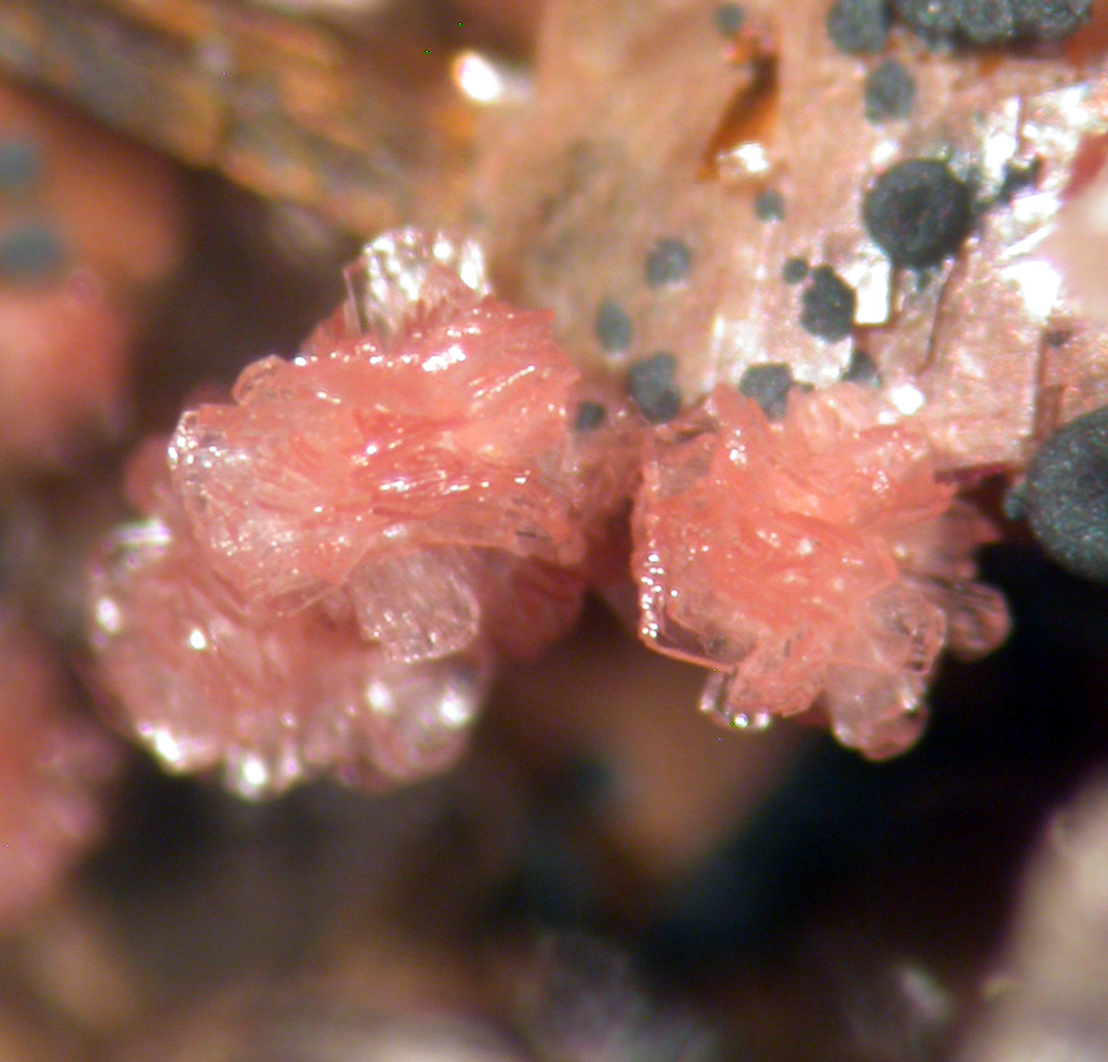 Talmessite Erythrite & Goethite