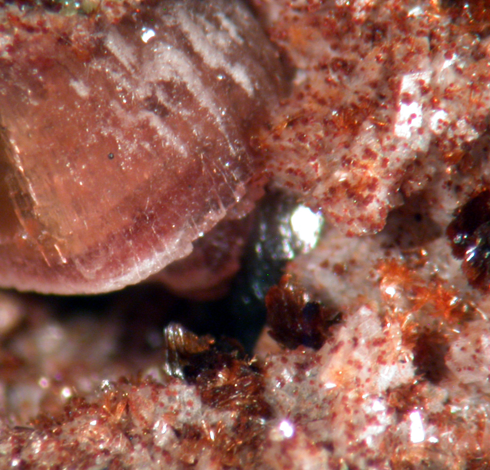 Cobaltlotharmeyerite Cobaltaustinite & Anorthoroselite