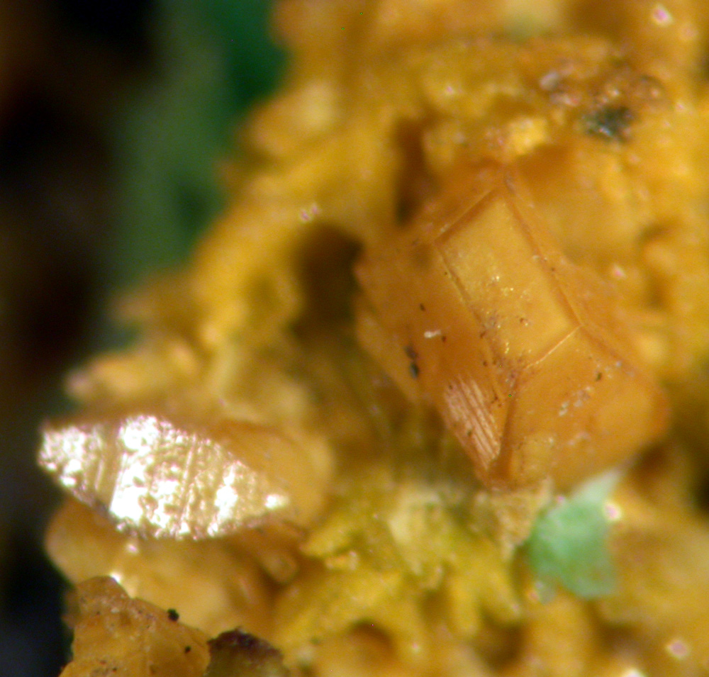 Schoepite Soddyite & Cuprosklodowskite