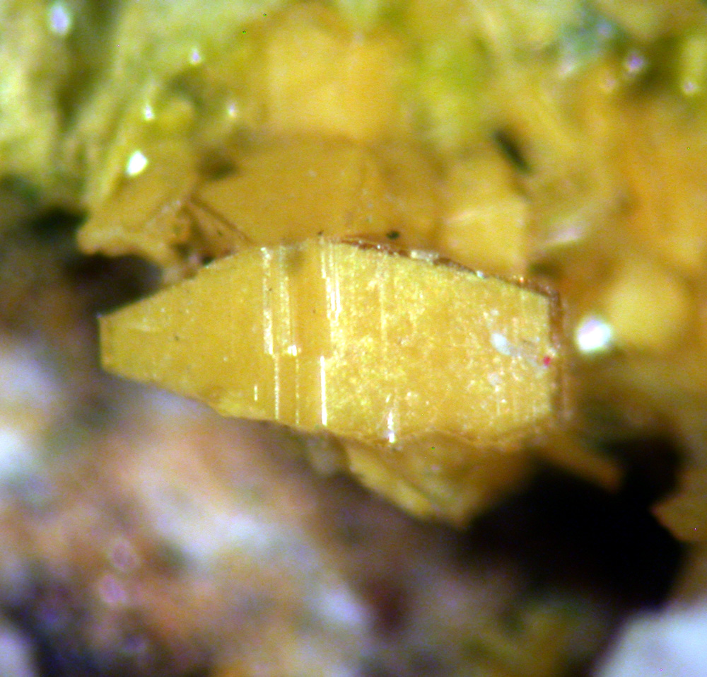 Schoepite Soddyite & Cuprosklodowskite