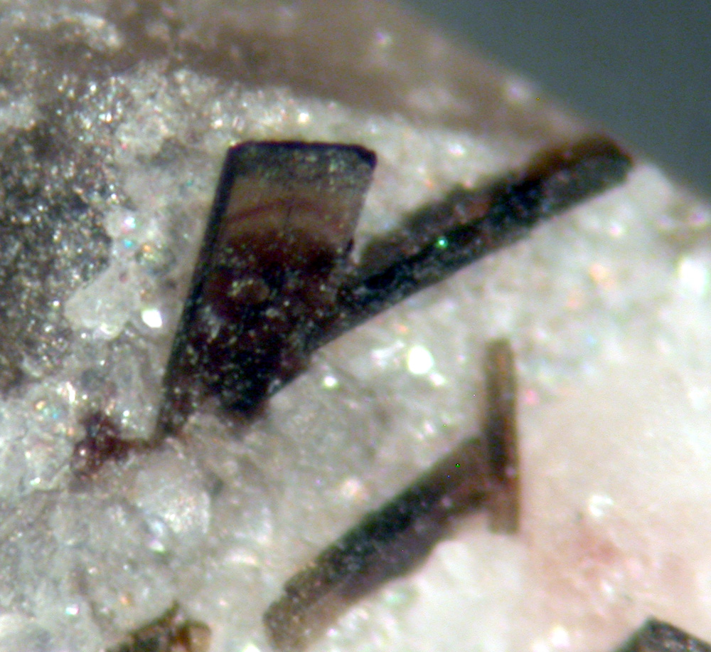 Allanite-(Ce) & Gadolinite-(Y)