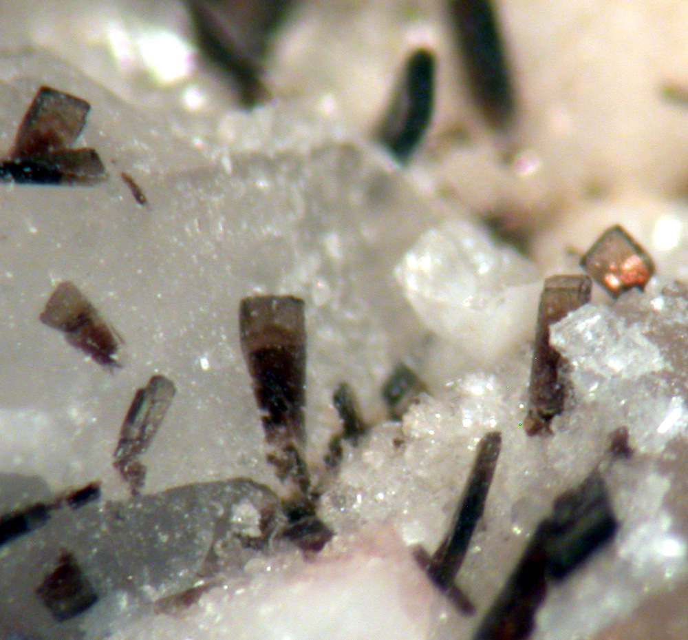 Allanite-(Ce) & Gadolinite-(Y)