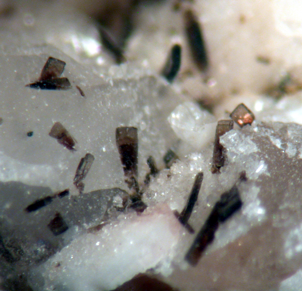 Allanite-(Ce) & Gadolinite-(Y)