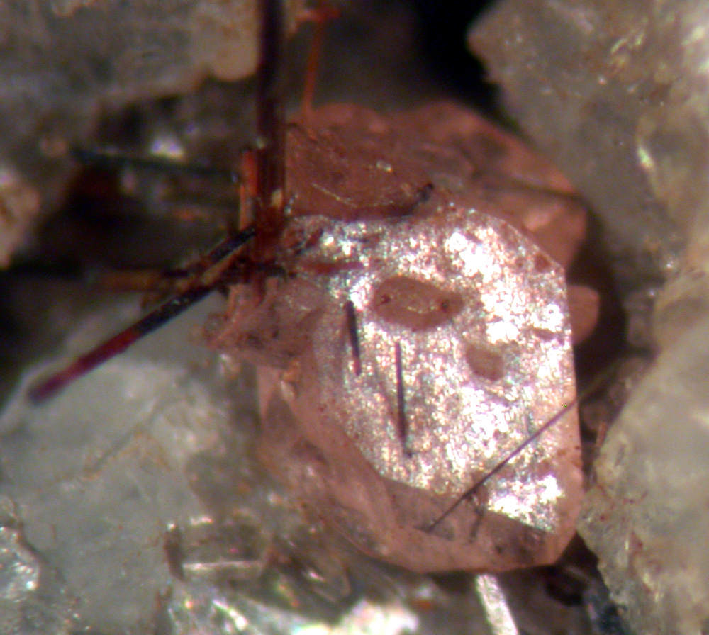 Monazite-(Ce) & Rutile