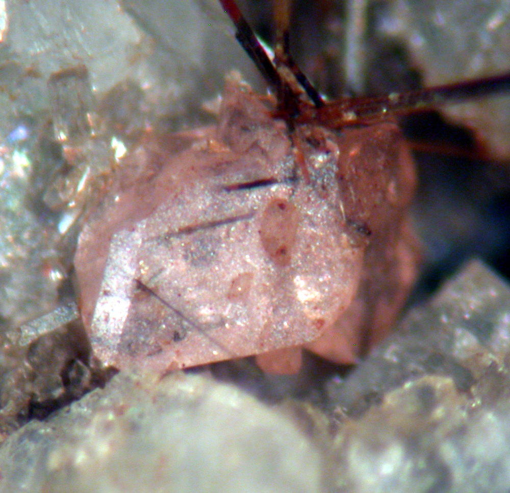 Monazite-(Ce) & Rutile