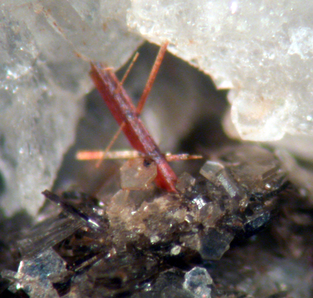 Monazite-(Ce) & Rutile