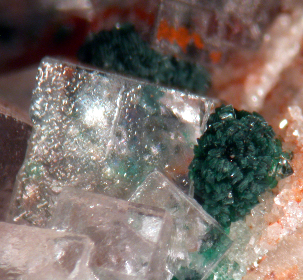 Cornwallite & Fluorite