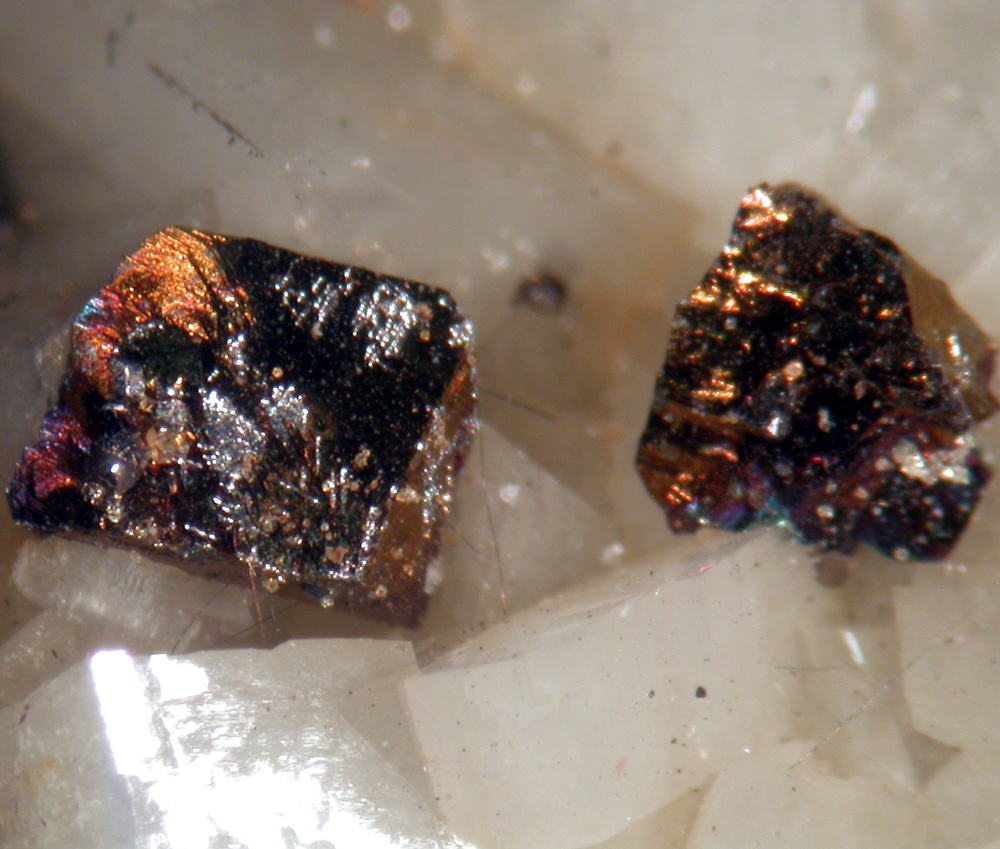 Millerite Dolomite & Chalcopyrite