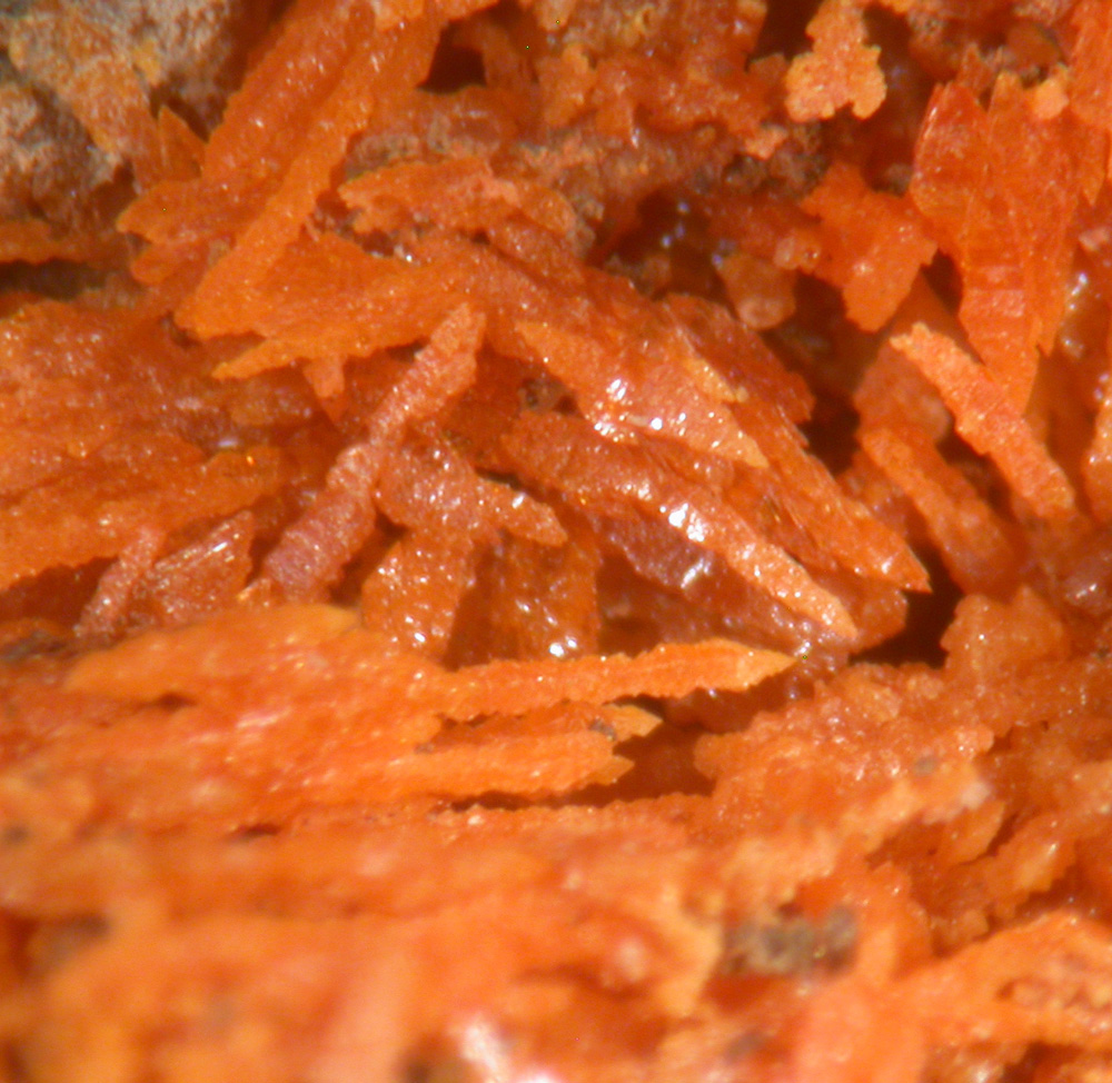 Wulfenite & Vanadinite