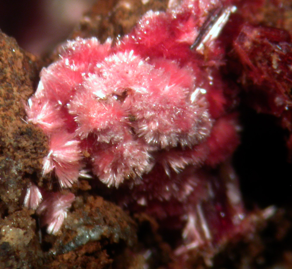 Erythrite