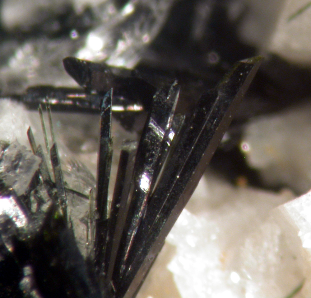 Aegirine Astrophyllite & Zircon