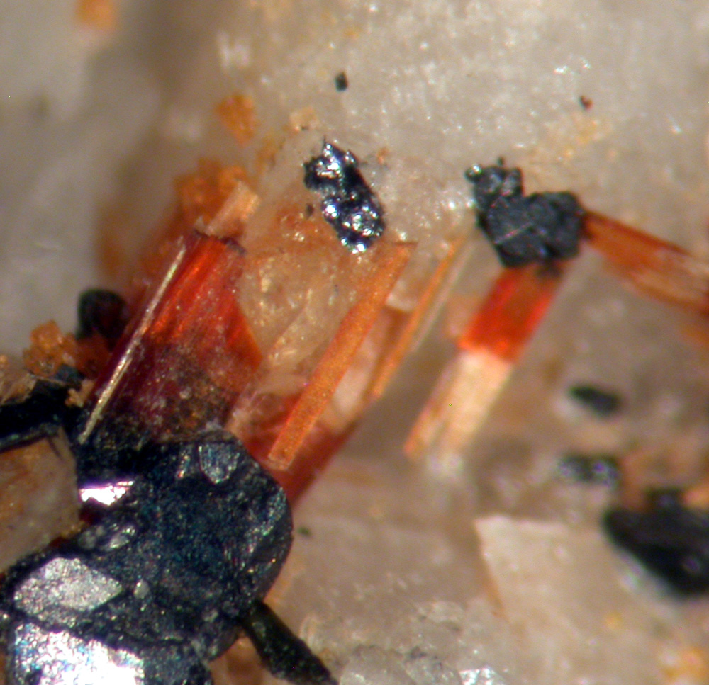 Aegirine Astrophyllite & Zircon