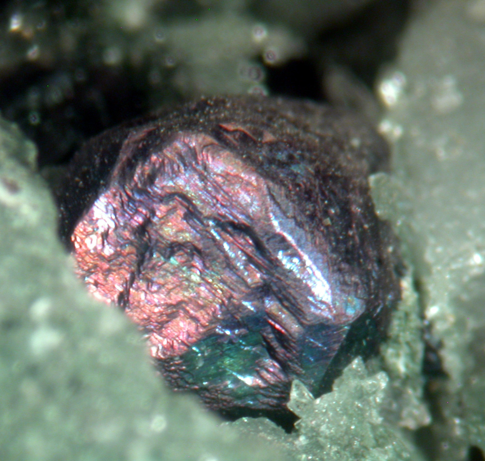 Bornite