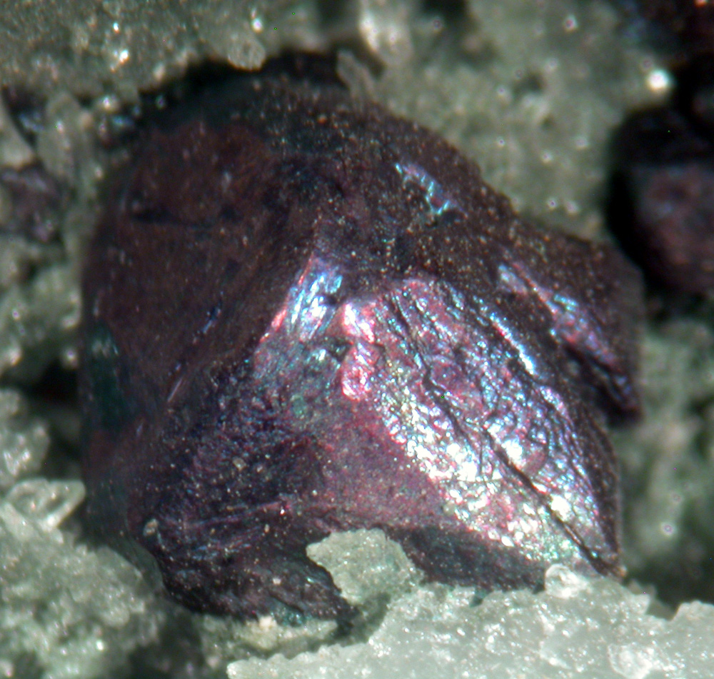 Bornite