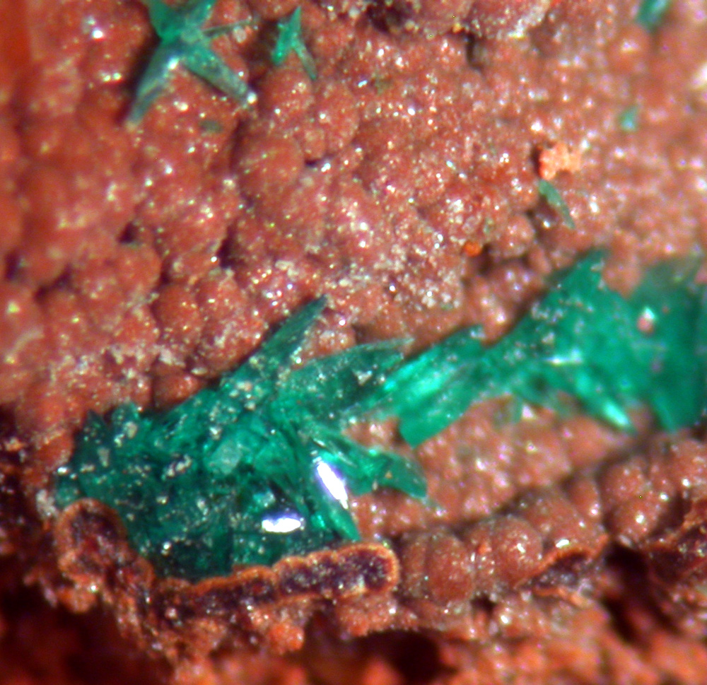 Brochantite & Bariopharmacosiderite