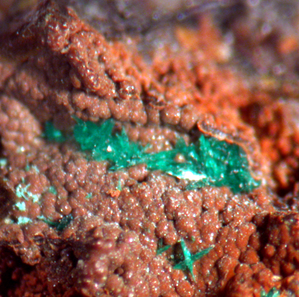Brochantite & Bariopharmacosiderite