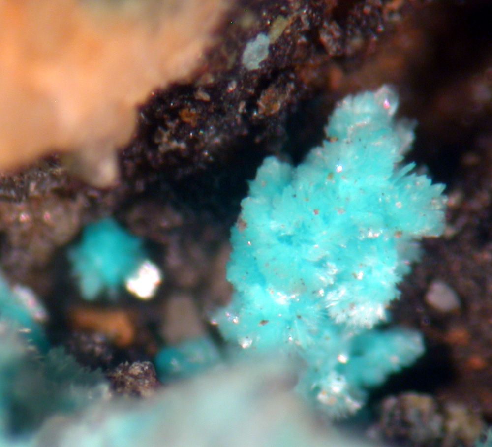 Posnjakite & Devilline