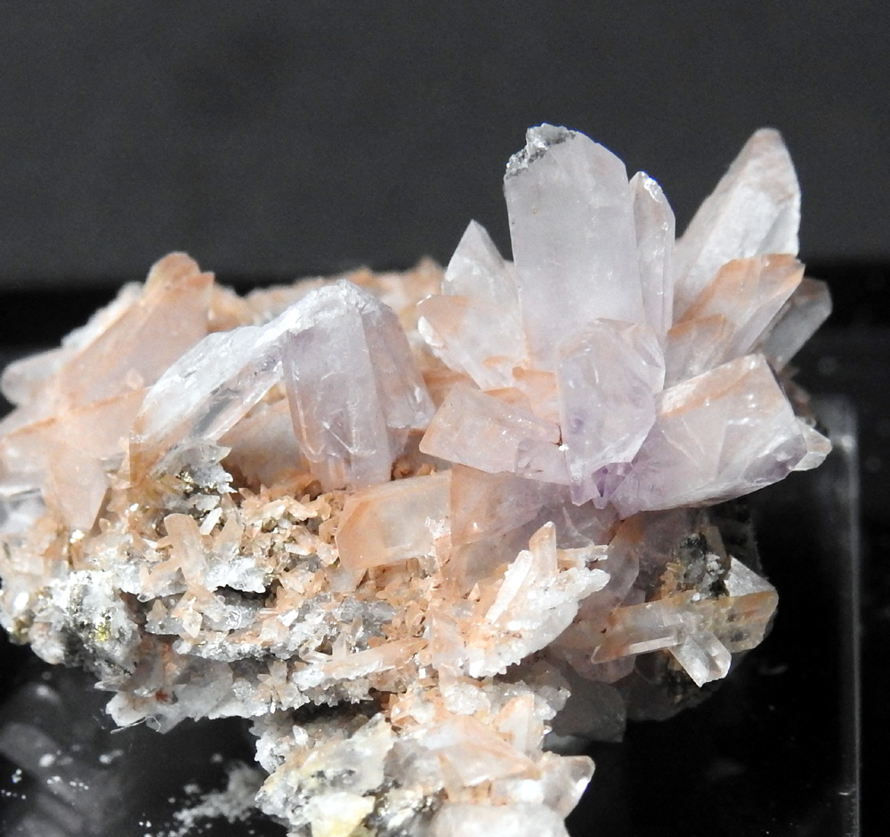 Creedite