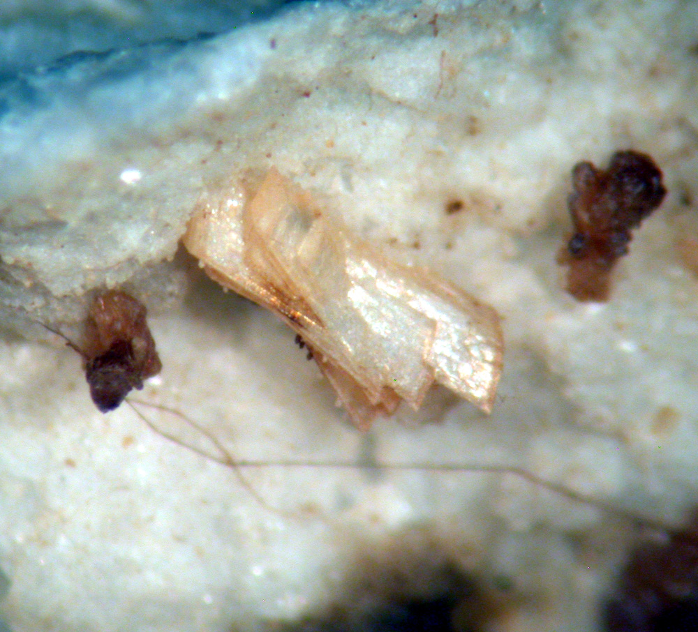 Gordonite & Jahnsite