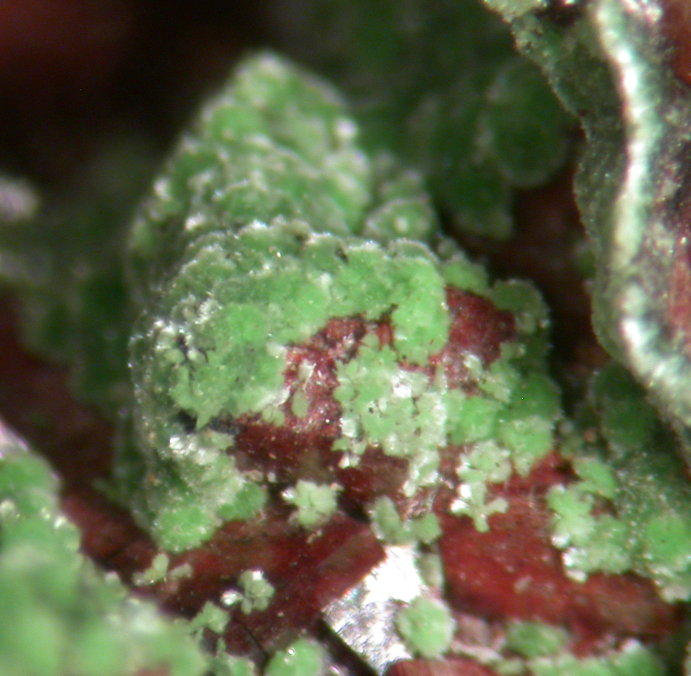 Conichalcite & Dolomite