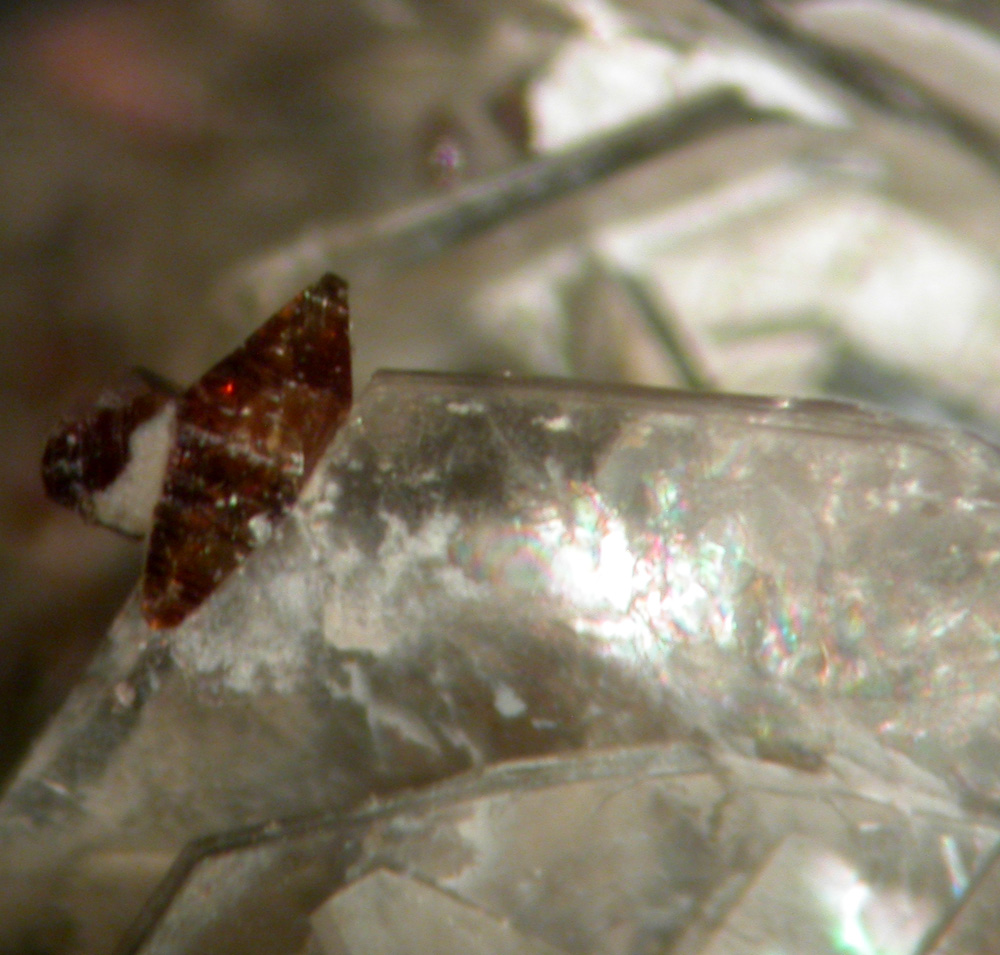 Muscovite Pennine Anatase & Monazite-(Ce)