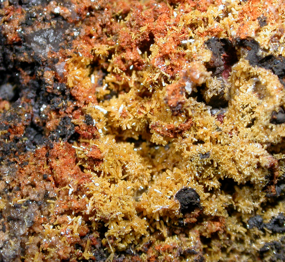 Mimetite