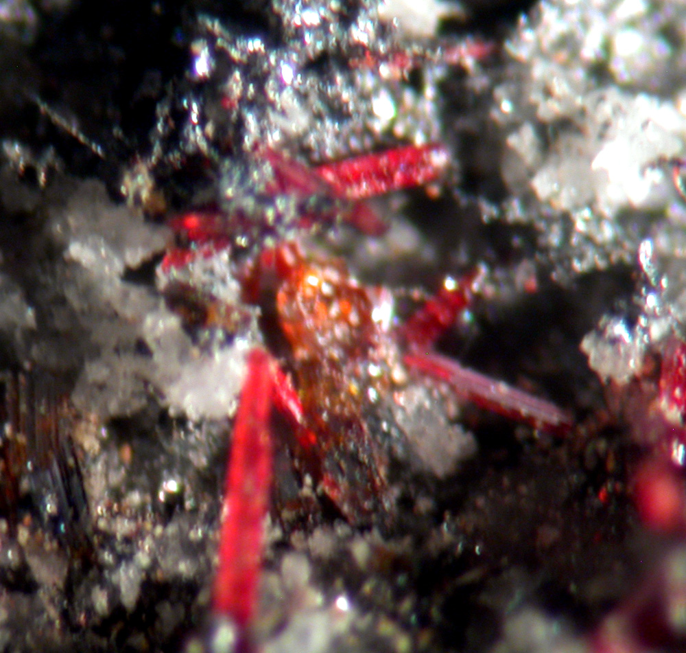 Xanthoconite Polybasite & Proustite