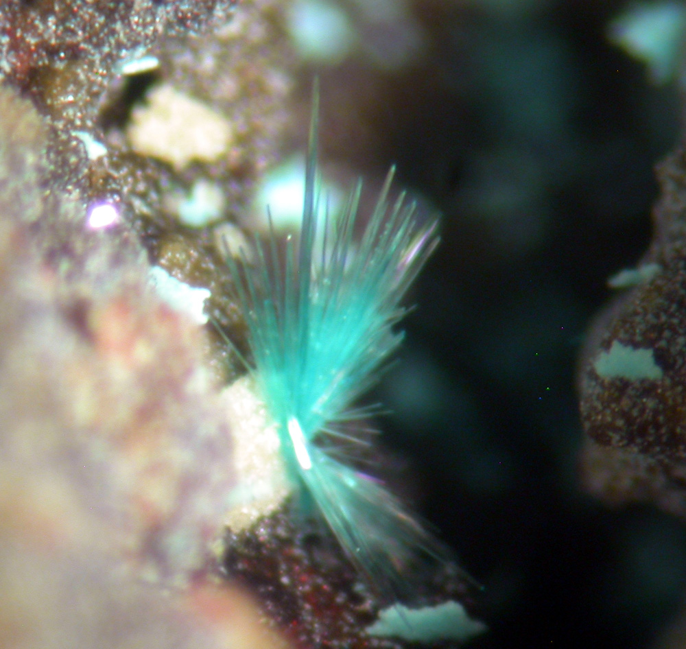 Copper Cuprite & Brochantite