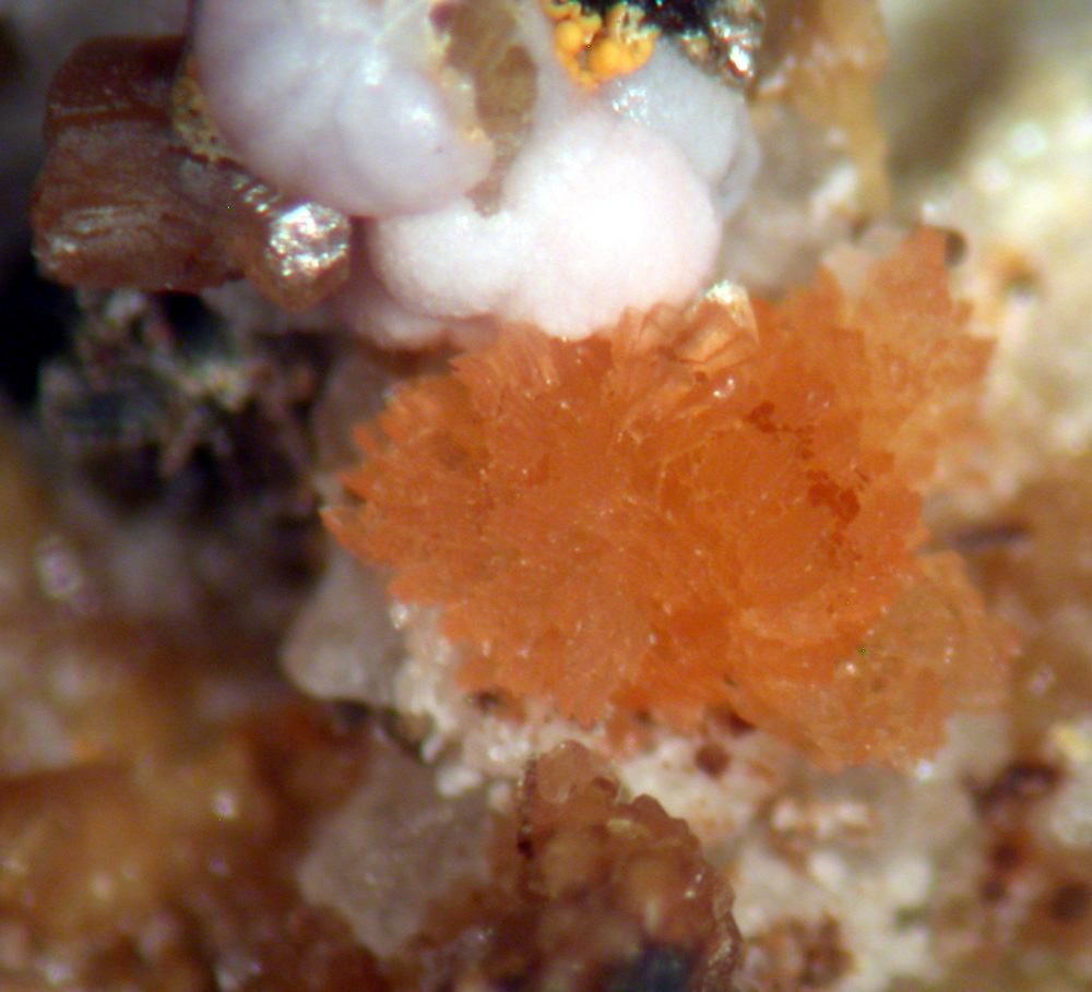 Jahnsite-(NaMnMg) Gordonite & Leucophosphite