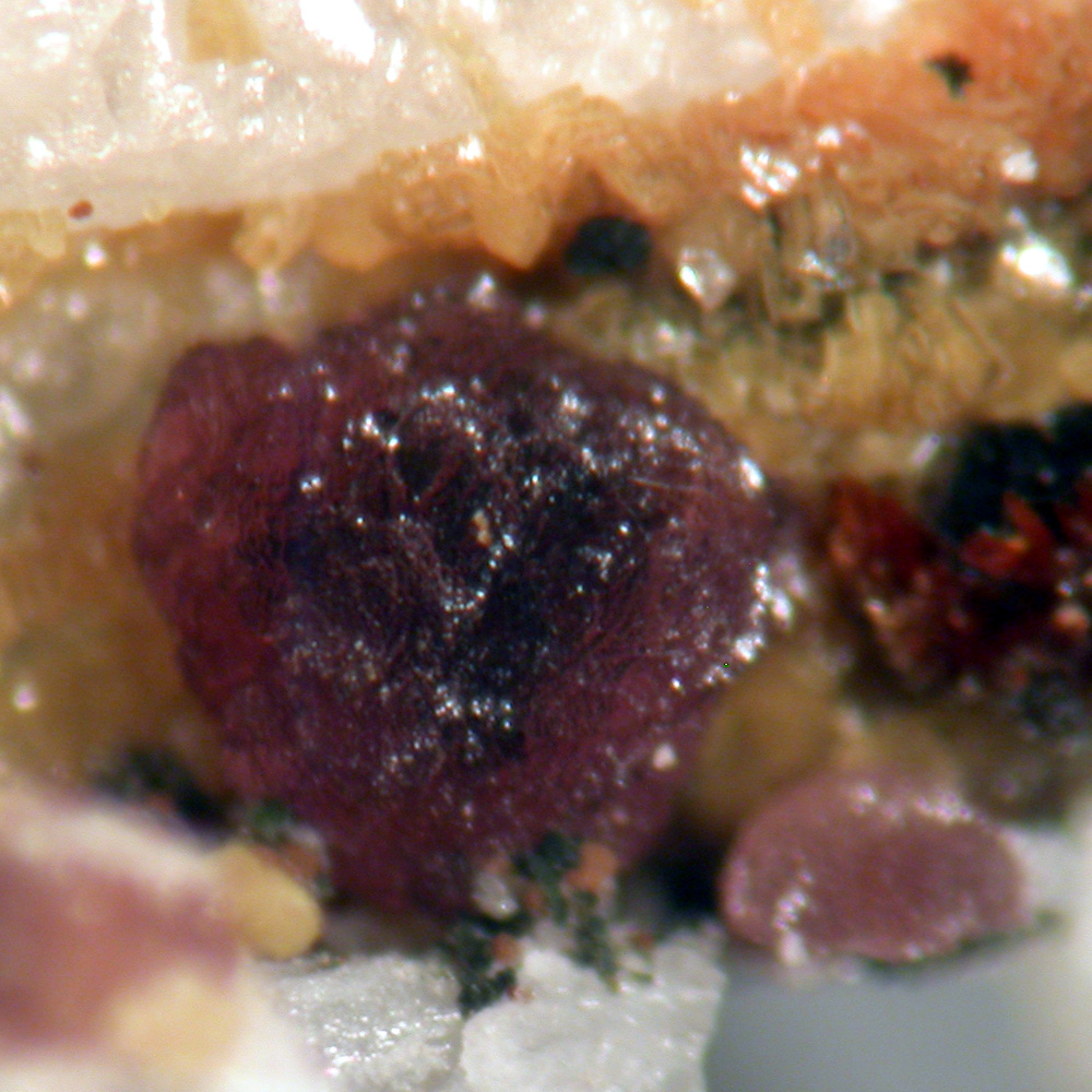 Jahnsite-(NaMnMg) Gordonite & Leucophosphite