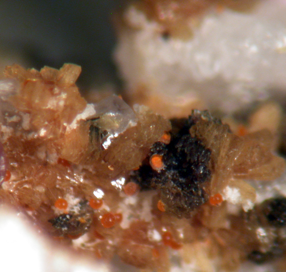 Jahnsite-(NaMnMg) Gordonite & Leucophosphite