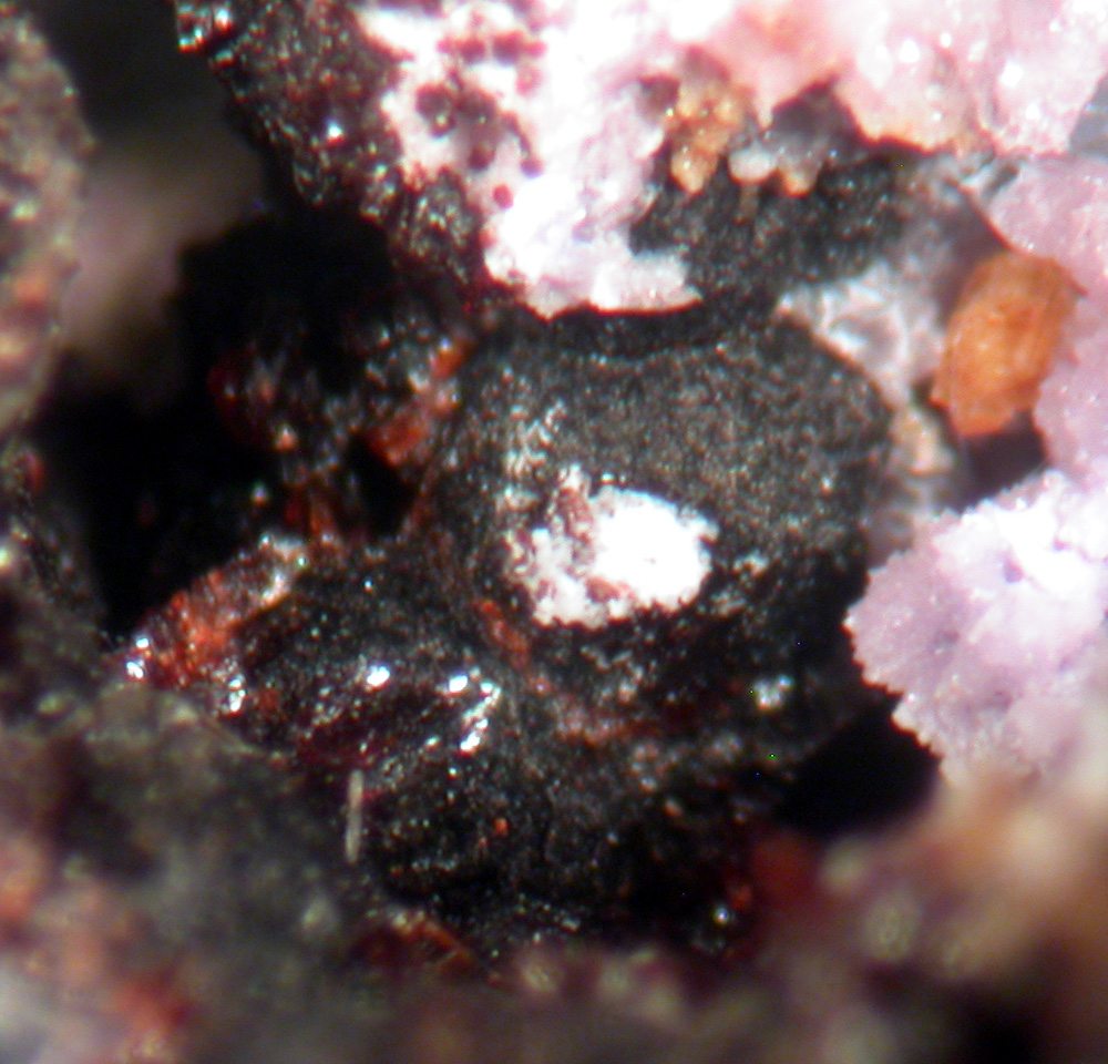 Robertsite Bermanite & Strengite