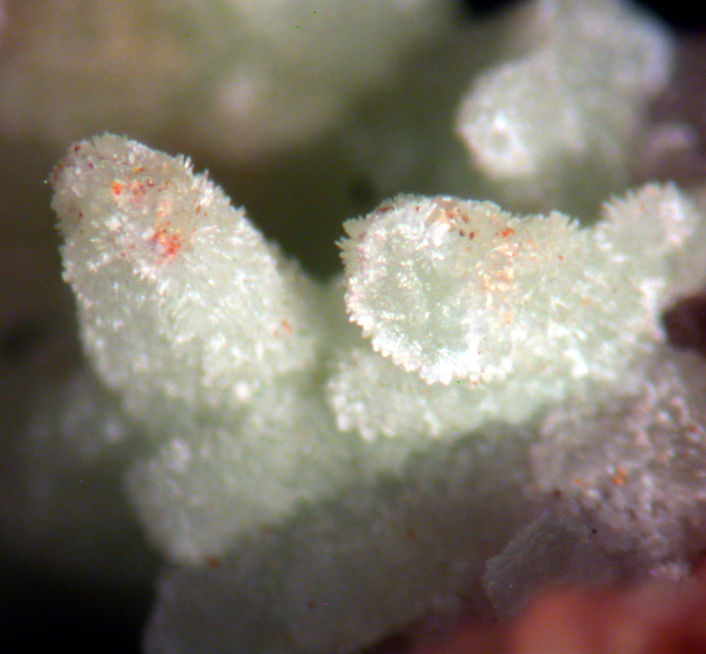 Willemite & Pyromorphite