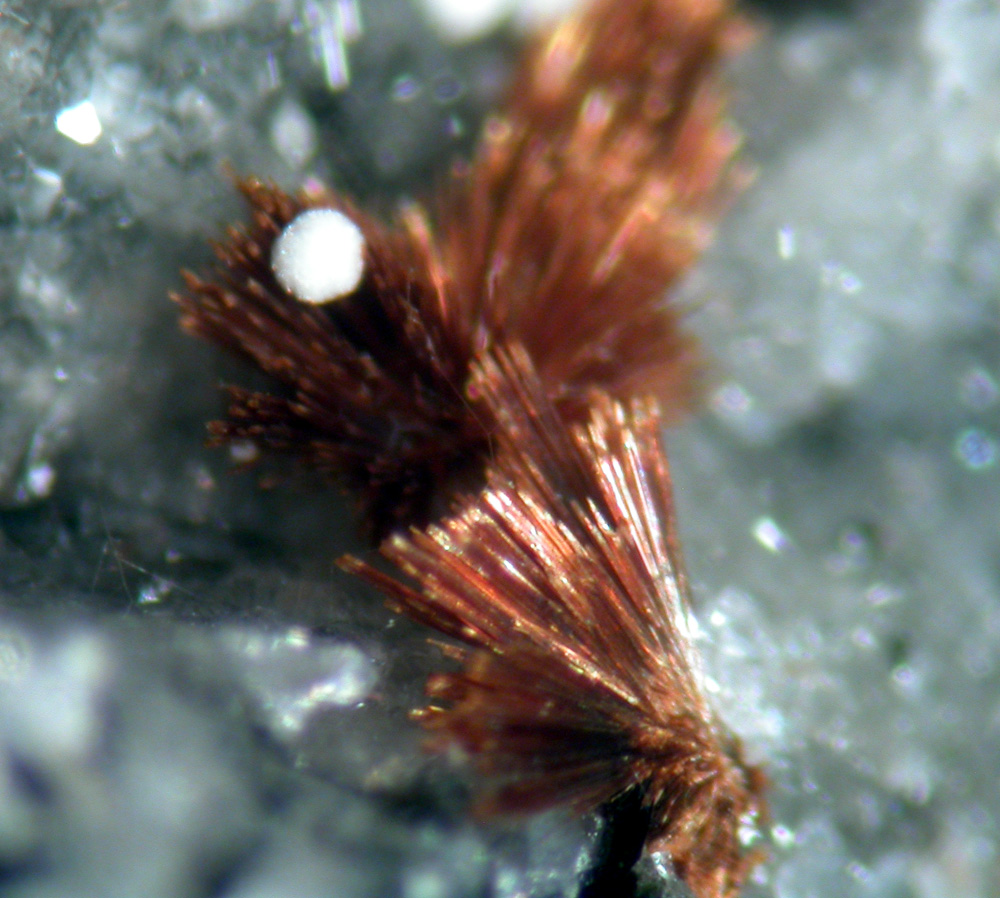 Tuperssuatsiaite & Ellingsenite