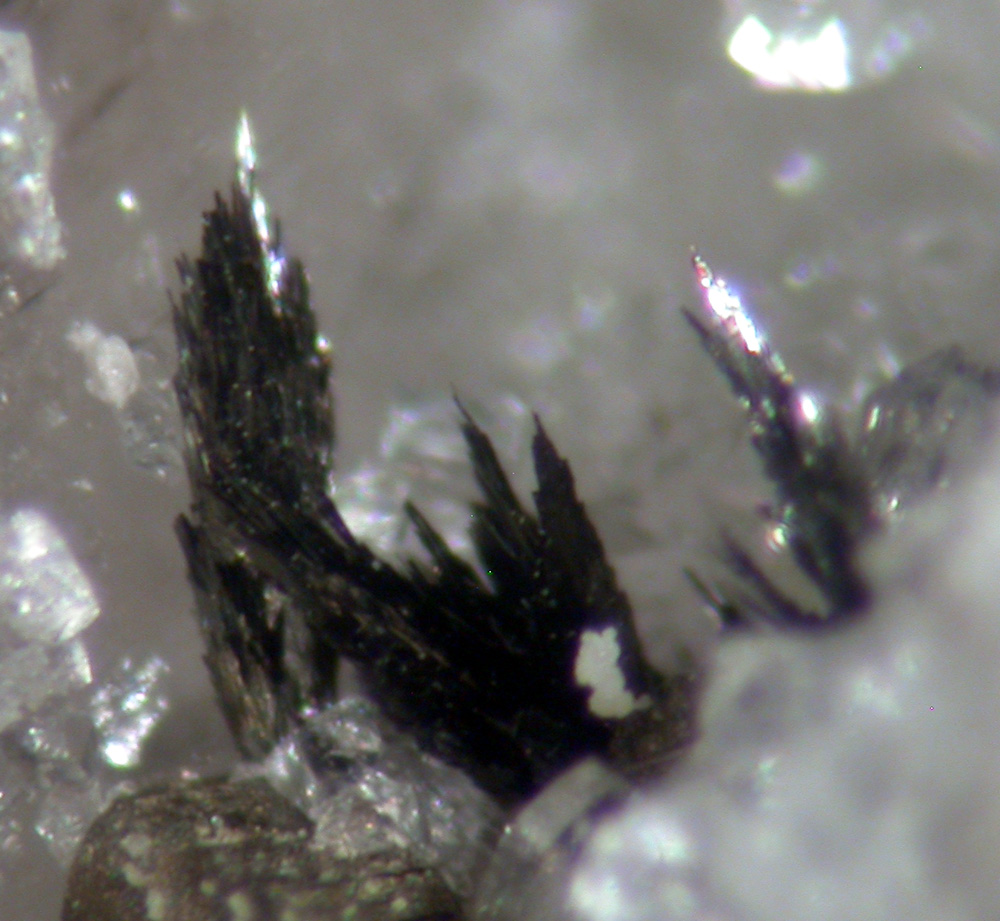 Lengenbachite & Seligmannite