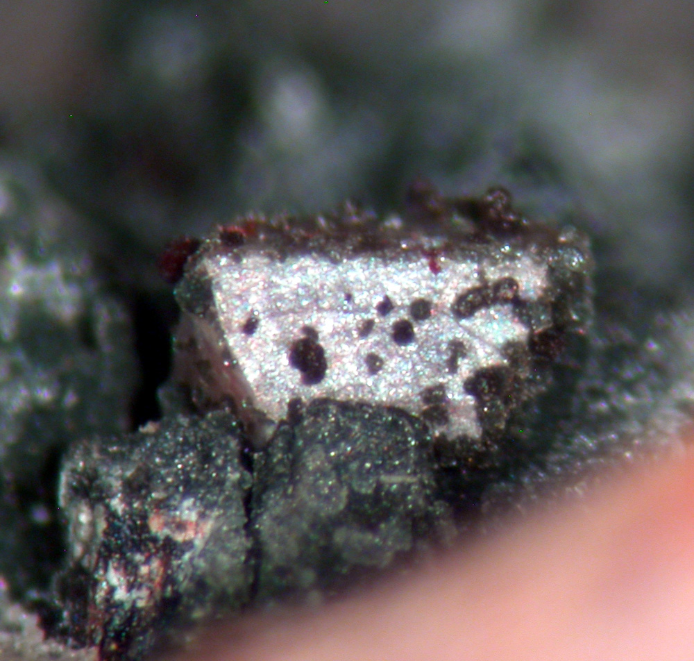 Hingganite-(Y) & Chlorite