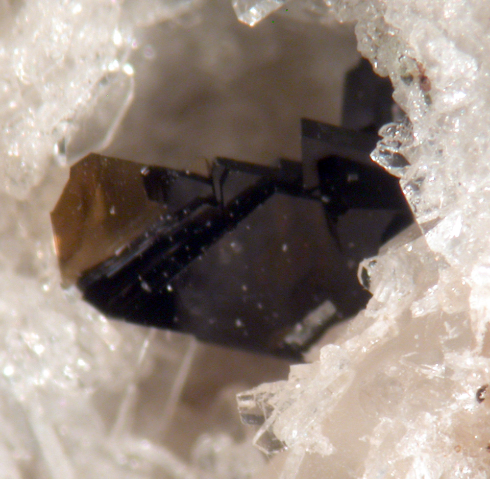 Phlogopite & Sanidine