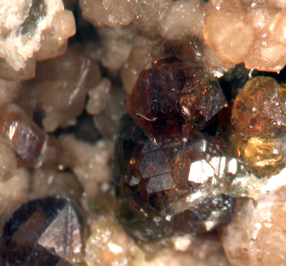 Franzinite & Vesuvianite