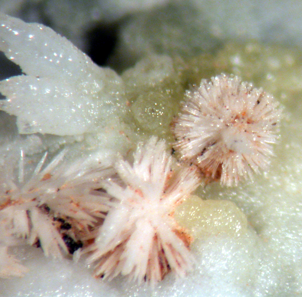 Powellite & Aragonite