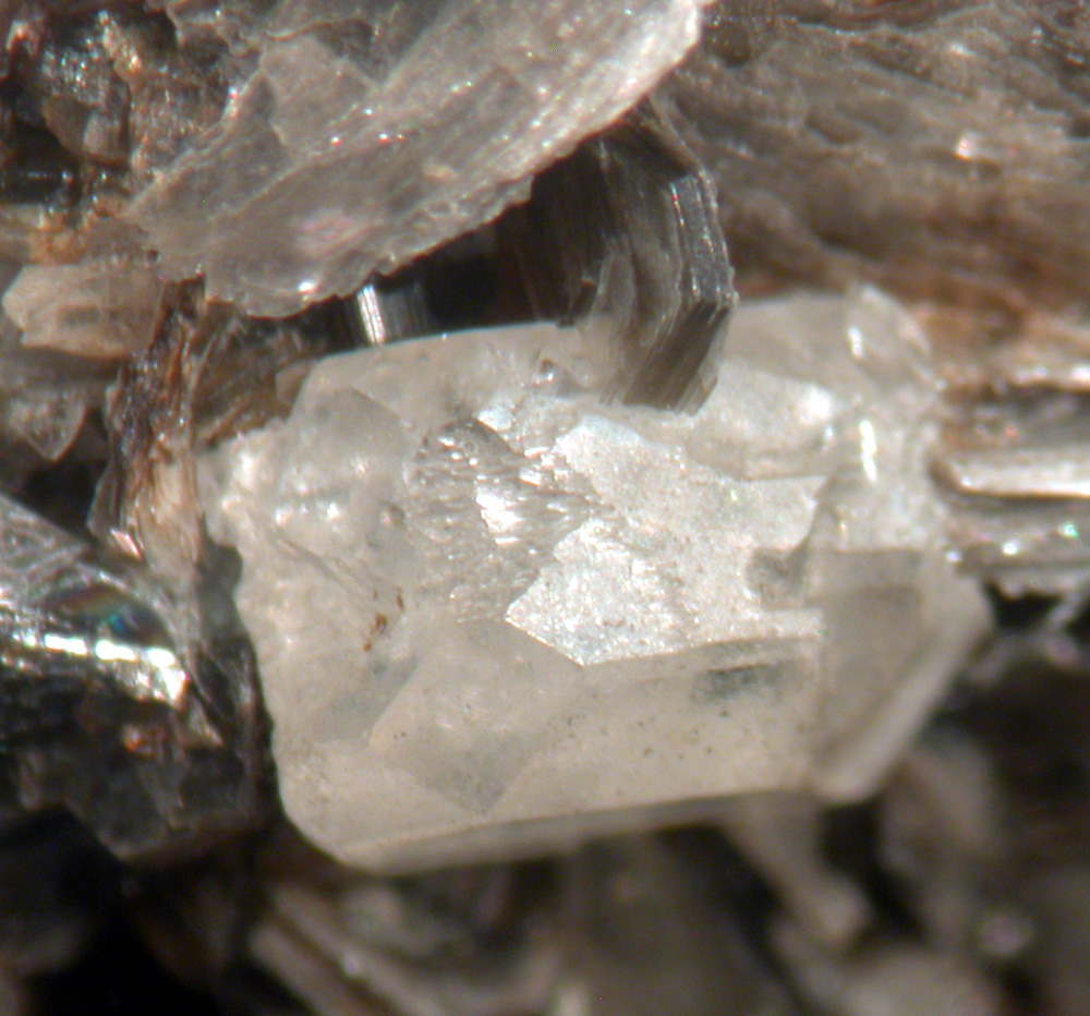 Apatite & Muscovite