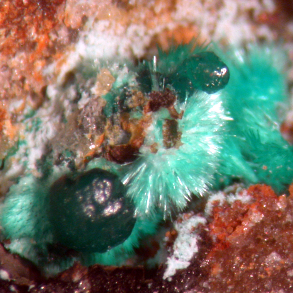 Goldhillite & Agardite