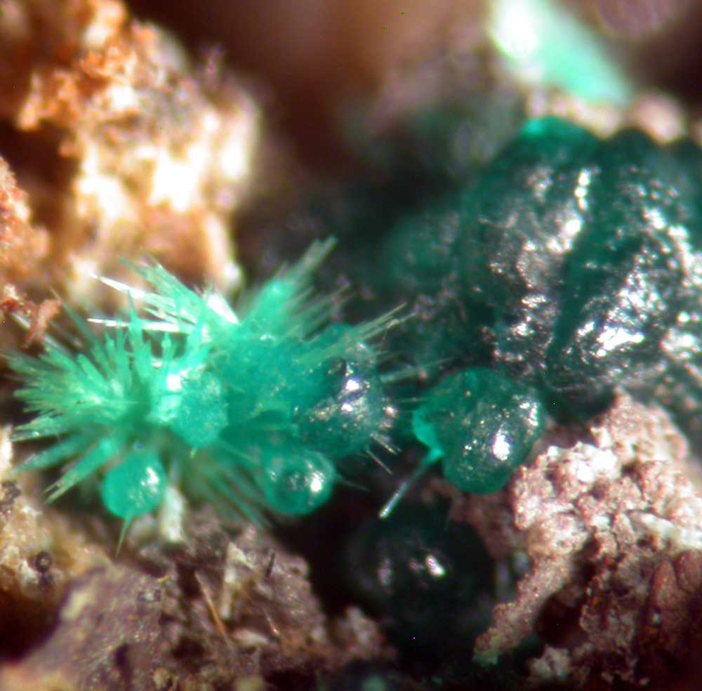 Goldhillite & Agardite