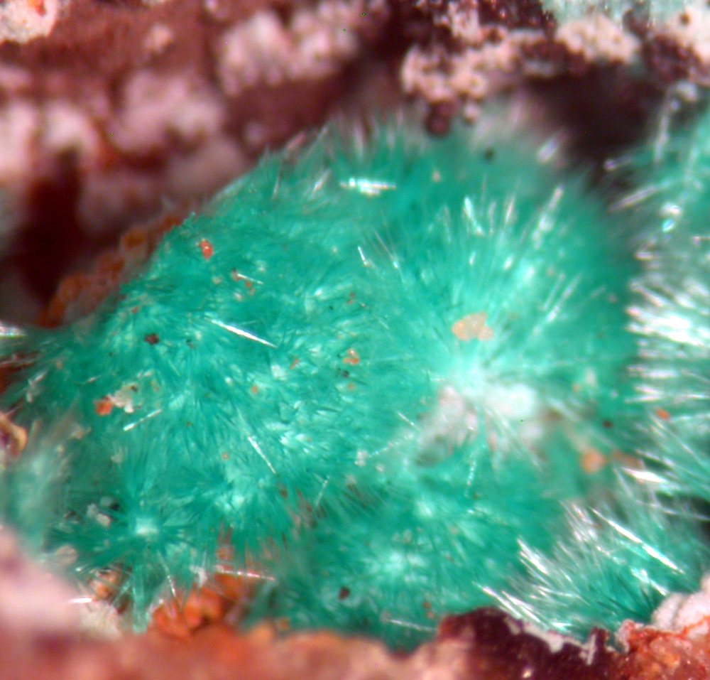 Goldhillite & Agardite