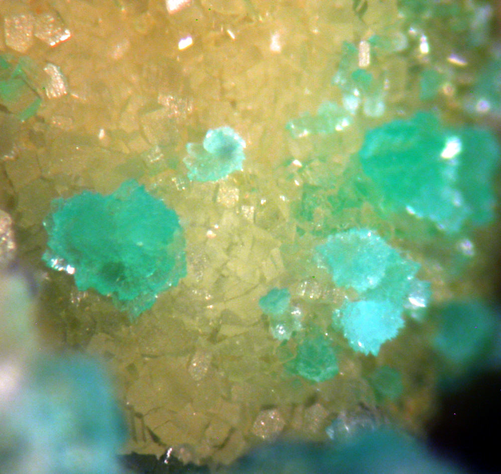 Turquoise & Variscite