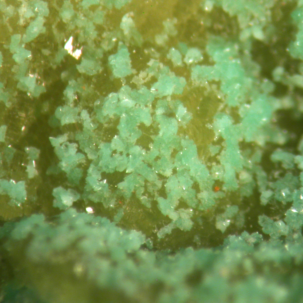 Turquoise & Variscite