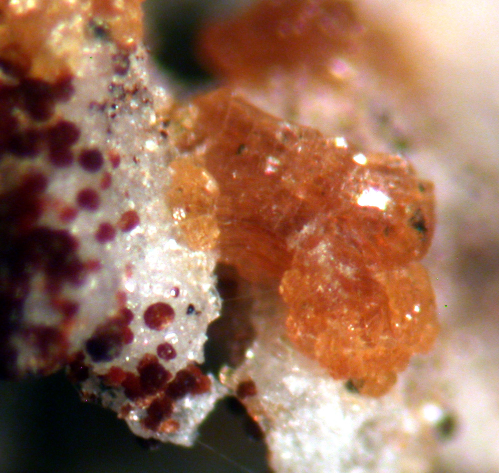 Jahnsite & Gordonite