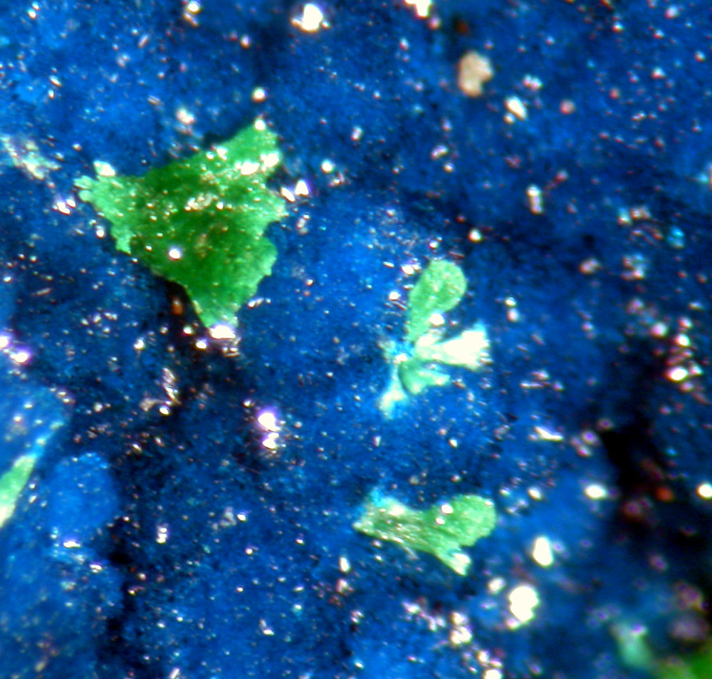 Cornetite & Malachite