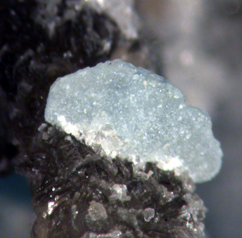 Bertrandite Apatite & Muscovite
